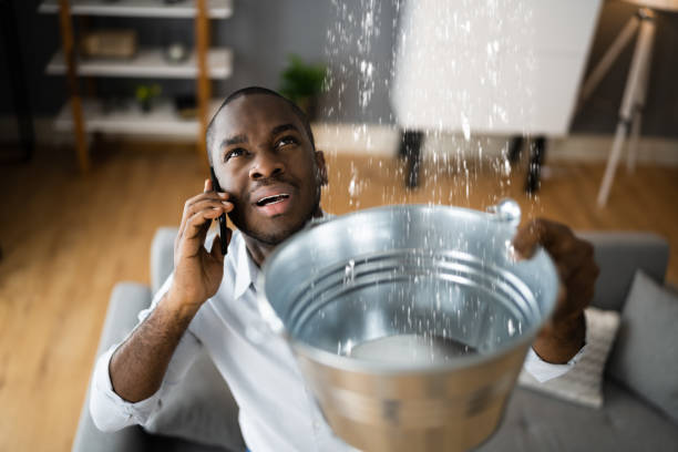 Best Water damage repair service  in Vla Park, IL