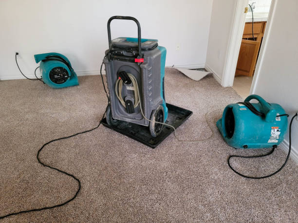  Vla Park, IL Water damage restoration Pros