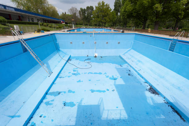 Best Mold removal after water damage  in Vla Park, IL