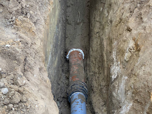 Best Water damage cleanup near me  in Vla Park, IL