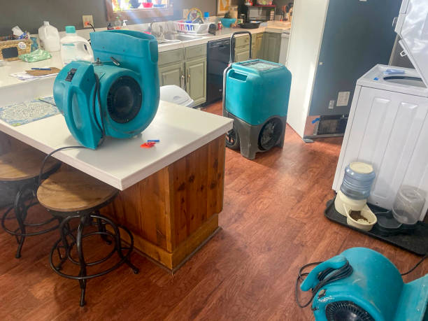 Best Local water damage restoration  in Vla Park, IL