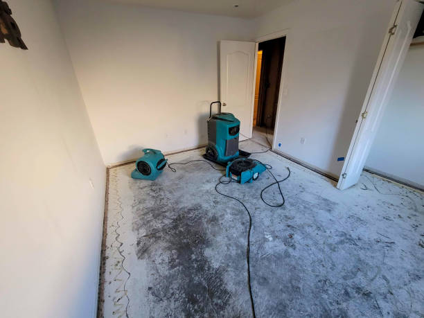 Best Water damage restoration near me  in Vla Park, IL