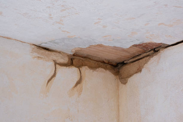 Best Water damage restoration specialists  in Vla Park, IL