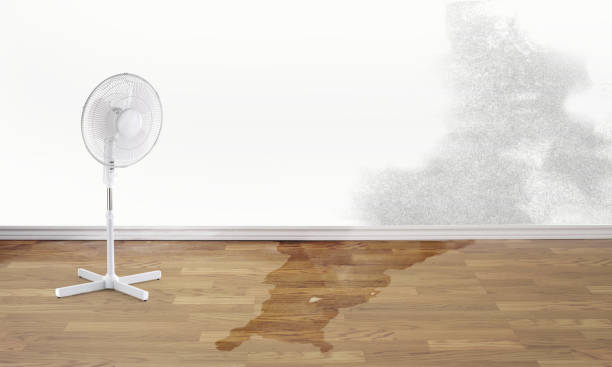 Reliable Villa Park, IL Water damage restoration Solutions