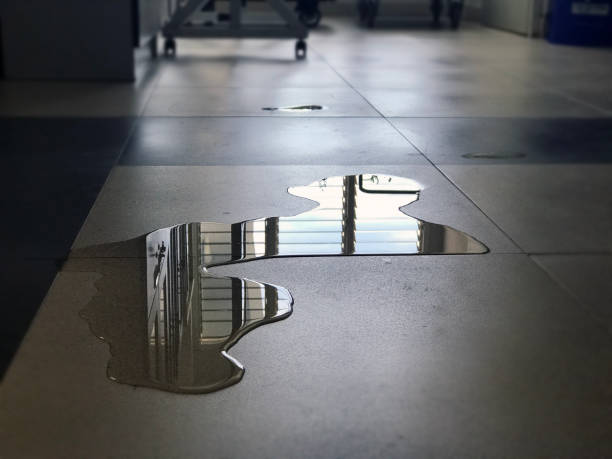 Local water damage restoration in Villa Park, IL