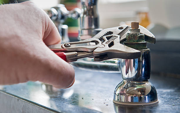 Best Water damage restoration mold remediation  in Vla Park, IL