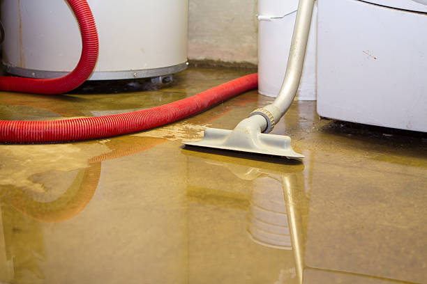 Best Local water damage restoration  in Vla Park, IL