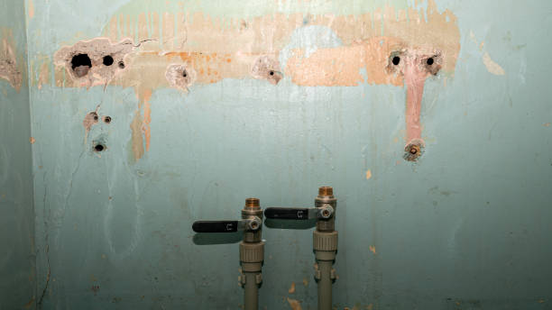 Best Ceiling water damage repair  in Vla Park, IL