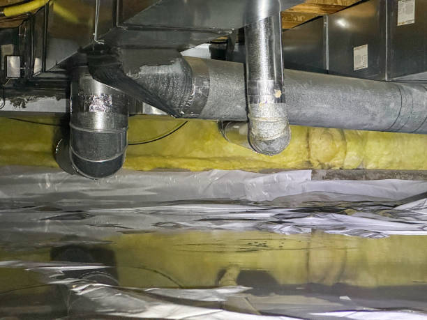 Best Water damage restoration near me  in Vla Park, IL