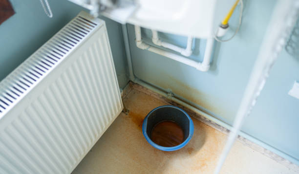 Best Professional water damage repair  in Vla Park, IL