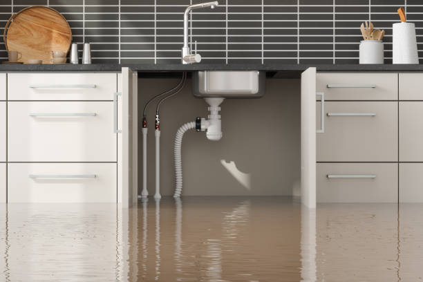 Best Fire Damage Restoration  in Vla Park, IL