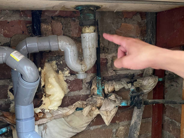 Best Emergency water extraction  in Vla Park, IL