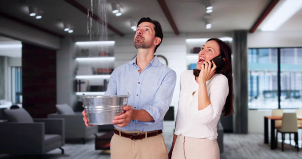 Water damage restoration mold remediation in Villa Park, IL