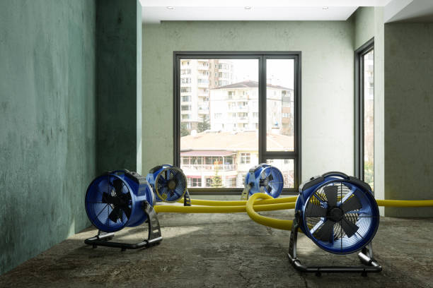 Water damage restoration insurance claims in Villa Park, IL
